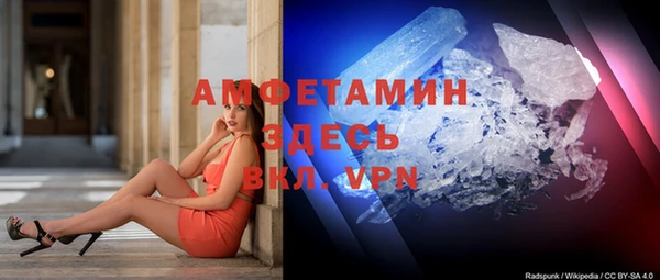 ГАЛЛЮЦИНОГЕННЫЕ ГРИБЫ Абаза