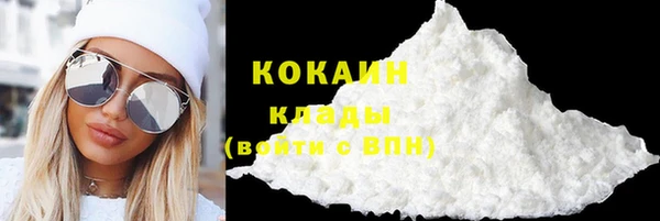 ГАЛЛЮЦИНОГЕННЫЕ ГРИБЫ Абаза