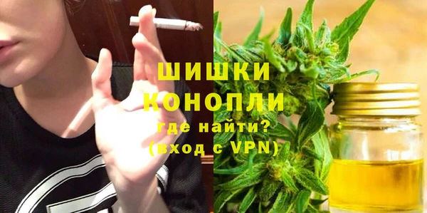 ГАЛЛЮЦИНОГЕННЫЕ ГРИБЫ Абаза
