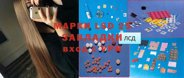 ГАЛЛЮЦИНОГЕННЫЕ ГРИБЫ Абаза