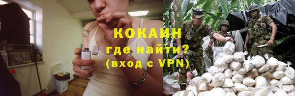 ГАЛЛЮЦИНОГЕННЫЕ ГРИБЫ Абаза