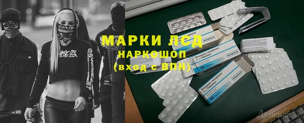 ГАЛЛЮЦИНОГЕННЫЕ ГРИБЫ Абаза