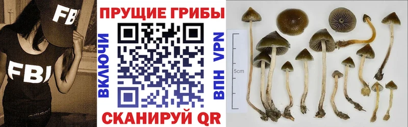 даркнет наркотические препараты продажа наркотиков Уварово Псилоцибиновые грибы Magic Shrooms